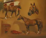 Hubert de Watrigant, Studies of Alydar, oil on canvas