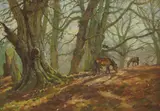 Barry Peckham, Beeches at Oakley, near Burley, oil on canvas board