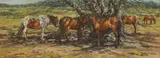 Barry Peckham, Dappled Shade, Ashley Heath, oil on canvas board