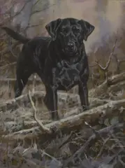 John Trickett, Labrador, oil on canvas