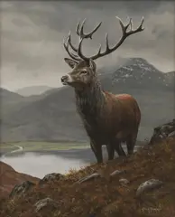 Steve Burgess, A Highland stag, oil on board
