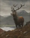 Steve Burgess, A Highland stag