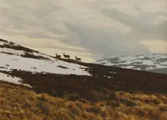 Alistair Makinson, Three stags in a snowy mountain landscape, oil on canvas board