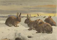 Harrison Weir, Rabbits in the snow, watercolour