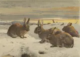 Harrison Weir, Rabbits in the snow, watercolour