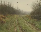 Rodger McPhail, Pheasants over a Ride