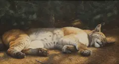 Peter David Scott, Sleeping lynx, acrylic on board