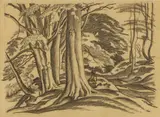 Ethelbert White, A wooded landscape with a seated figure, black chalk