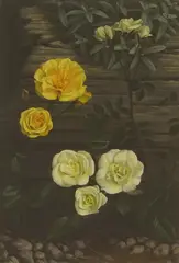Raymond C. Booth, Miniature Roses, 'Baby Gold Star' and 'Pour Toi, oil on board
