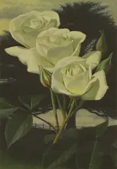 Raymond C. Booth, Floribunda 'Iceberg, oil on board