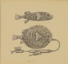 Ronald Ferns, Puffer Fish, pen and ink