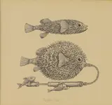 Ronald Ferns, Puffer Fish, pen and ink