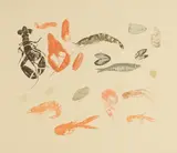 Elizabeth Blackadder, Seafood Medley, 2012, published by Glasgow Print Studio with blind stamp