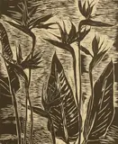 Elizabeth Blackadder, Strelitzia, 1989, woodcut