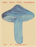 David Shrigley, You Win This Mushroom, It Is Poisonous