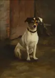 Plym', a Jack Russell by Angelica Stopford Sarsfield, oil on board, sold Feb 2026