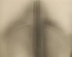 Cl..., Stringed instrument, indistinctly signed and dated '85' and numbered 2/45 in white pencil on mount