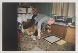 Richard Billingham, Untitled, chromogenic prints on aluminium