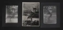 Josef Sudek, Untitled, three gelatin silver print photographs