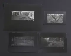 Untitled by Josef Sudek, A collection of four gelatin silver print photographs, sold Jul 2025