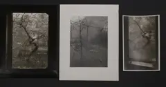 Untitled by Josef Sudek, three gelatin silver print photographs, sold Jul 2025