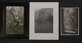 Josef Sudek, Untitled