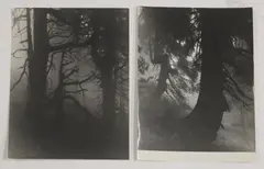 Untitled by Josef Sudek, two silver gelatin print photographs, sold Jul 2025