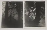 Josef Sudek, Untitled