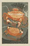 Edward Bawden, Untitled, 'Aesop's Fables: An Old Crab and a Young' linocut in colours