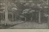 Gwen Raverat, Untitled, 'The Wood' wood engraving
