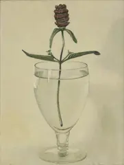 Oscar Mellor, Untitled, 'Eryngium in Glass' oil on canvas 61 x 46cm