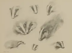 John Edwards, Untitled, pencil 23.5 x 31cm Provenance: With the Moorland Gallery