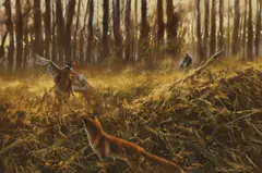 Mick Cawston, Untitled, oil on canvas 61 x 91cm