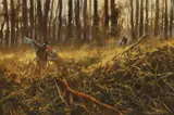Mick Cawston, Untitled, oil on canvas 61 x 91cm