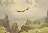 John Cyril Harrison, Untitled