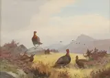 John Cyril Harrison, Untitled