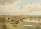 John Cyril Harrison, Untitled