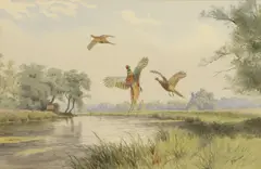 Untitled by John Cyril Harrison, watercolour over pencil 36.5 x 55cm Provenance: A private collection, sold Nov 2025