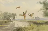 John Cyril Harrison, Untitled