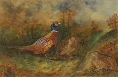 Allen W. Seaby, Untitled, watercolour heightened with white 18.5 x 28cm