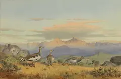 Untitled by John Cyril Harrison, watercolour over pencil 37 x 55cm Provenance: With the Moorland Gallery, sold Nov 2025