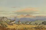 John Cyril Harrison, Untitled, watercolour over pencil 37 x 55cm Provenance: With the Moorland Gallery