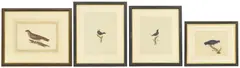 Untitled by William Hayes, and a hand-coloured etching 'Blue Grosbeak', sold Nov 2025