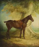 James Lynwood Palmer, Untitled, oil on canvas 61 x 51cm