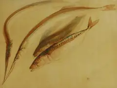 Untitled by Edward Julius Detmold, watercolour 47.5 x 63.5cm, sold Nov 2025