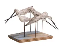 Guy Taplin, Untitled, Six sanderlings carved and painted driftwood