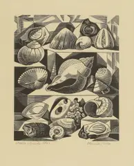 Monica Poole, Untitled, ‘Shells and Fossils’ wood engraving