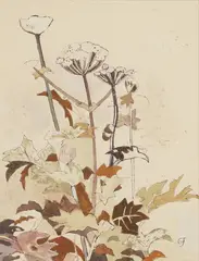 Gwyneth Johnstone, Untitled, watercolour and gouache 25.5 x 19cm