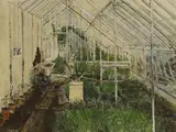 Olwyn Bowey, Untitled, watercolour and gouache 56 x 75cm