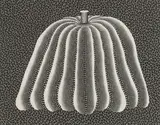 Yayoi Kusama, Untitled, 'Pumpkin' (Black) lithograph